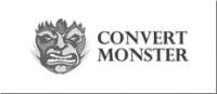 Convert Monster. Агентство интернет-маркетинга